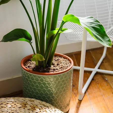 Appartement Luxurious 4-Bedroom Apartment